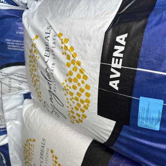 yến mạch nhập khẩu và cách chọn mua sao cho đúng