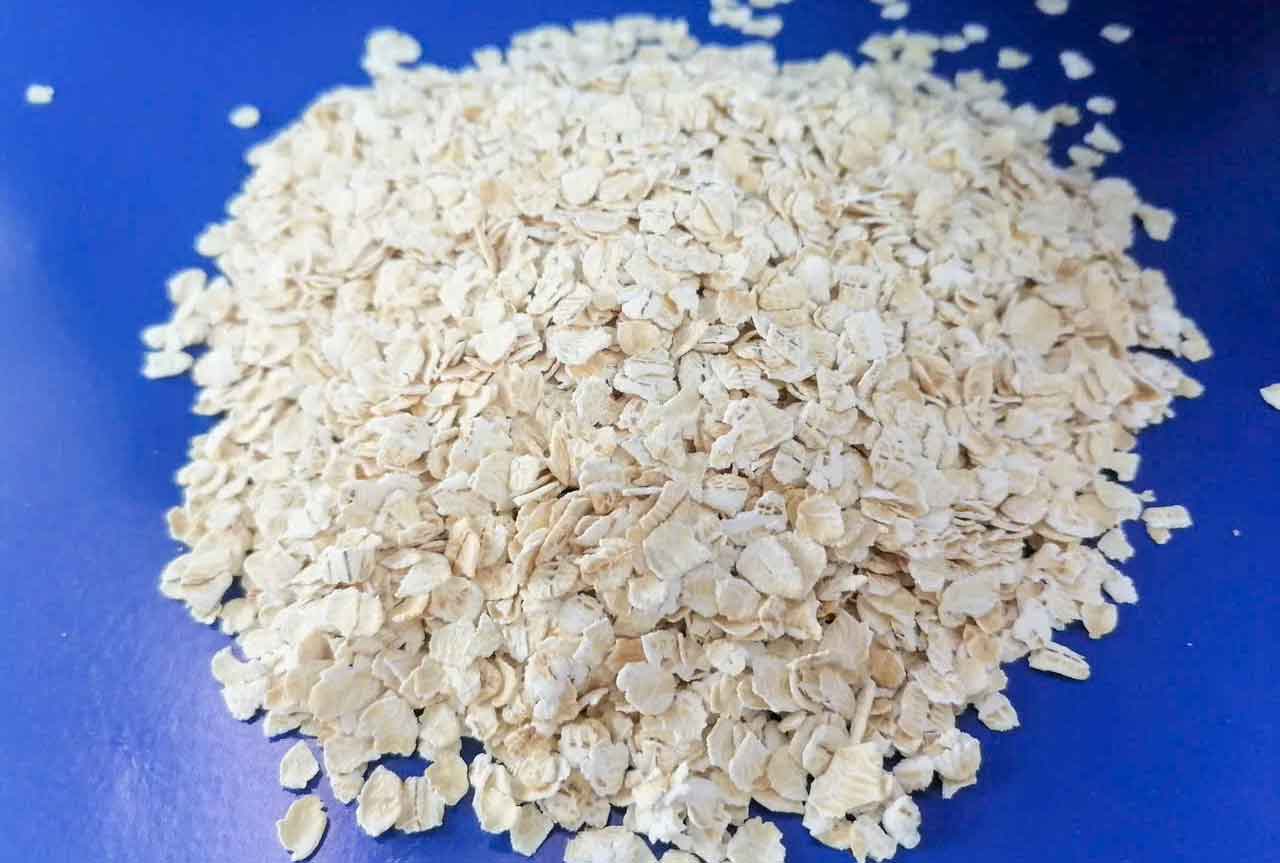 yến mạch nhập khẩu từ Chi Lê, loại cán vỡ