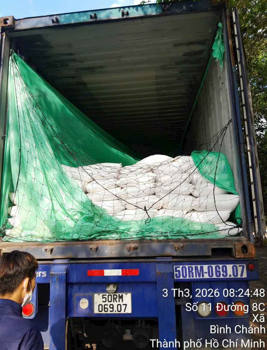 hạt chia nhập khẩu số lượng lớn