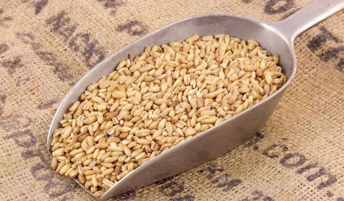 yến mạch nguyên hạt dành cho gymer kĩ tính