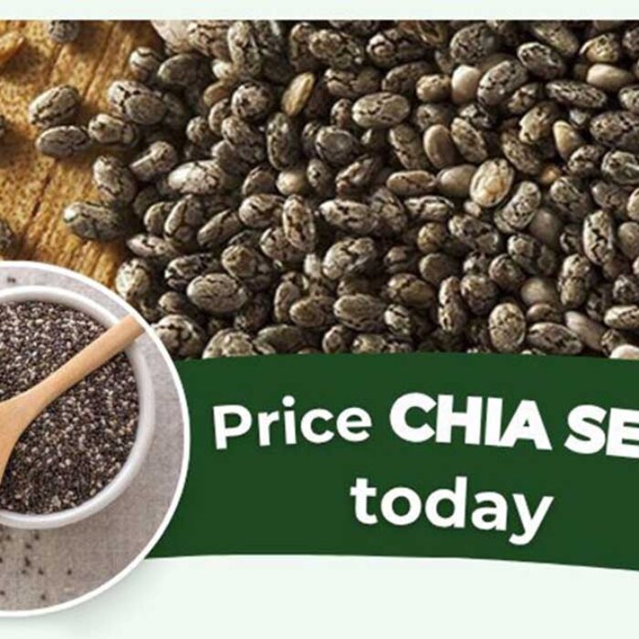 Giá Hạt Chia Nhập Khẩu Phụ Thuộc Vào Những Yếu Tố Nào?