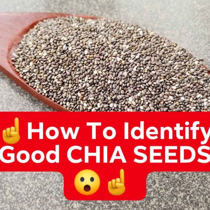 Cách Nhận Biết Hạt Chia Chất Lượng Cao Khi Mua Sỉ Và Mua Lẻ