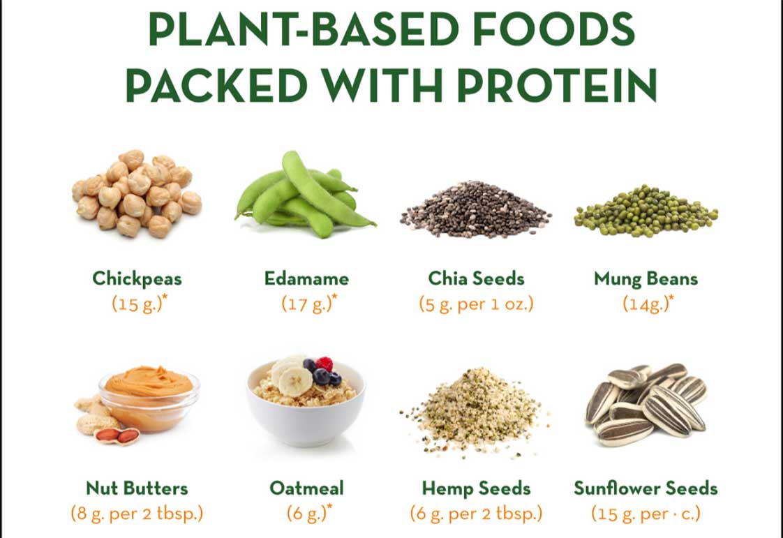 Protein thực vật trong hạt chia